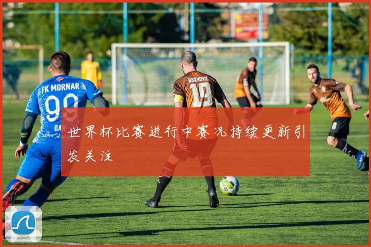 世界杯比赛进行中赛况持续更新引发关注
