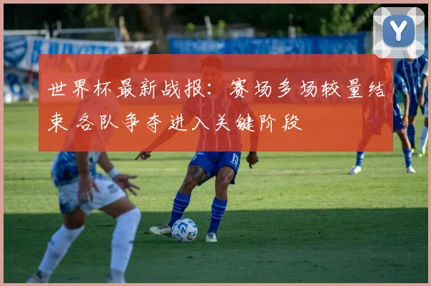 世界杯最新战报：赛场多场较量结束 各队争夺进入关键阶段