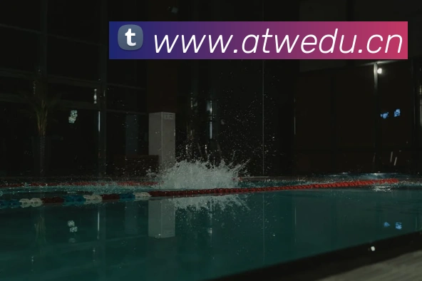 开云手机入口注册服务体系